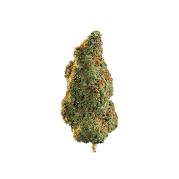 Martian Kush - HHC Flower