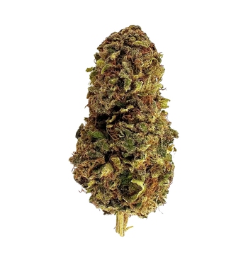 Dark Labubud - TH+ Flower