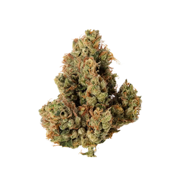 Dark LabuKush - TH+ Flower