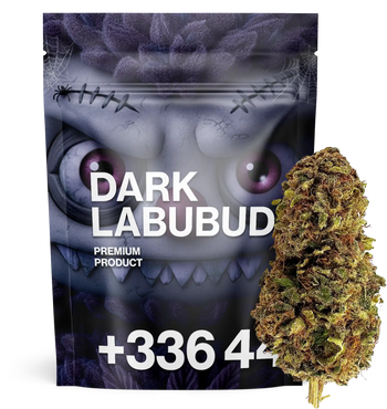 Dark Labubud - TH+ Flower