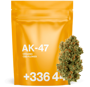 AK-47 - Fleur CBD | Tealerlab