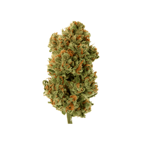 AK-47 - Fleur CBD | Tealerlab — alternate view
