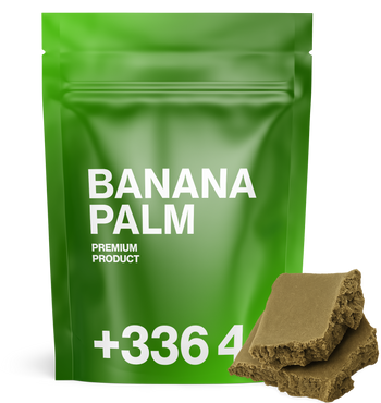 Banana Palm - TH+ Hash