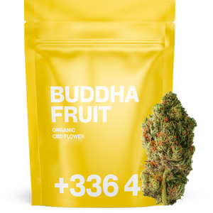 Buddha Fruit - CBD Flower 🧘