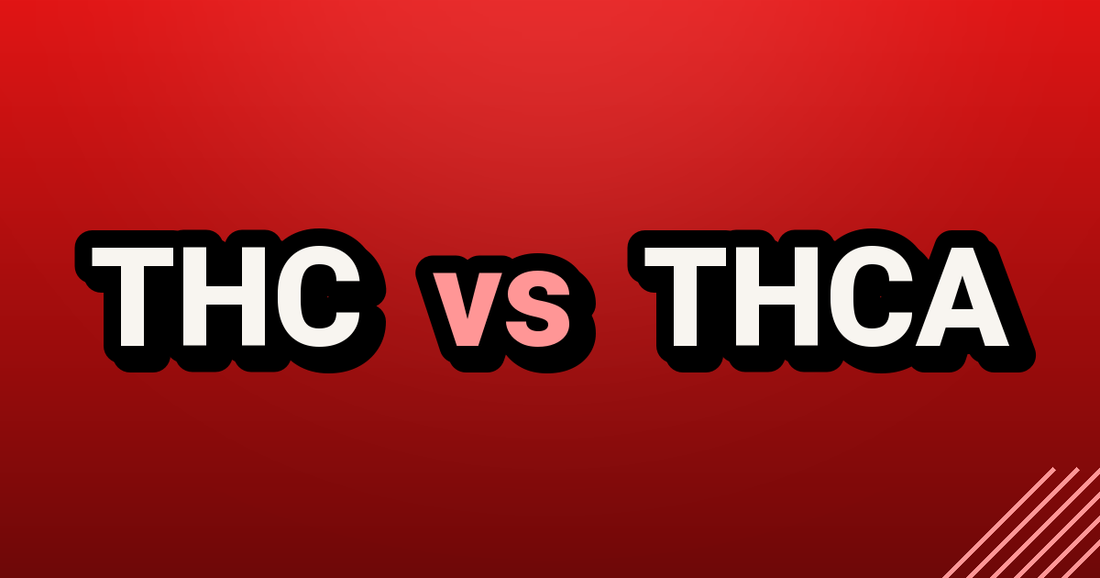 THC vs THCA - TealerLab UK