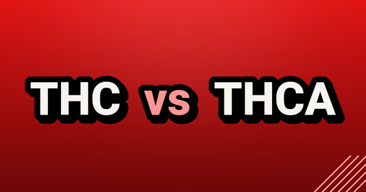 THC vs THCA - TealerLab UK