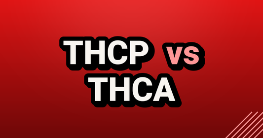 THCP vs THCA - TealerLab UK