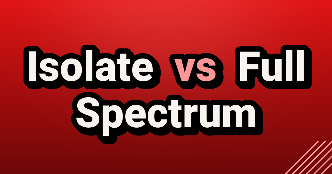 CBD Isolate vs Full Spectrum - TealerLab UK