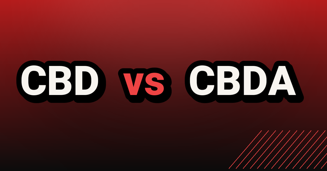 CBD vs CBDA