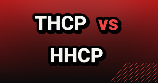 THCP vs HHCP