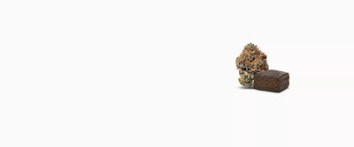 1G buy = 1G free