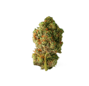 Burberry Kush - THX 👑 — alternate view