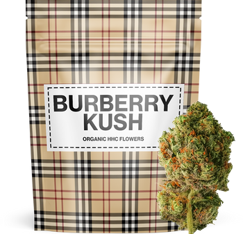 Burberry Kush - HHC 👑