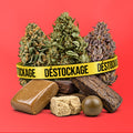 Halloweed