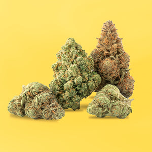 CBD Flowers — Our full flower range.