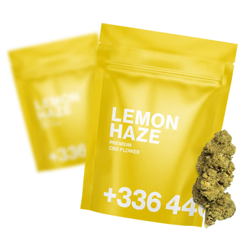 Lemon Haze Premium CBD 1g buy 1g free