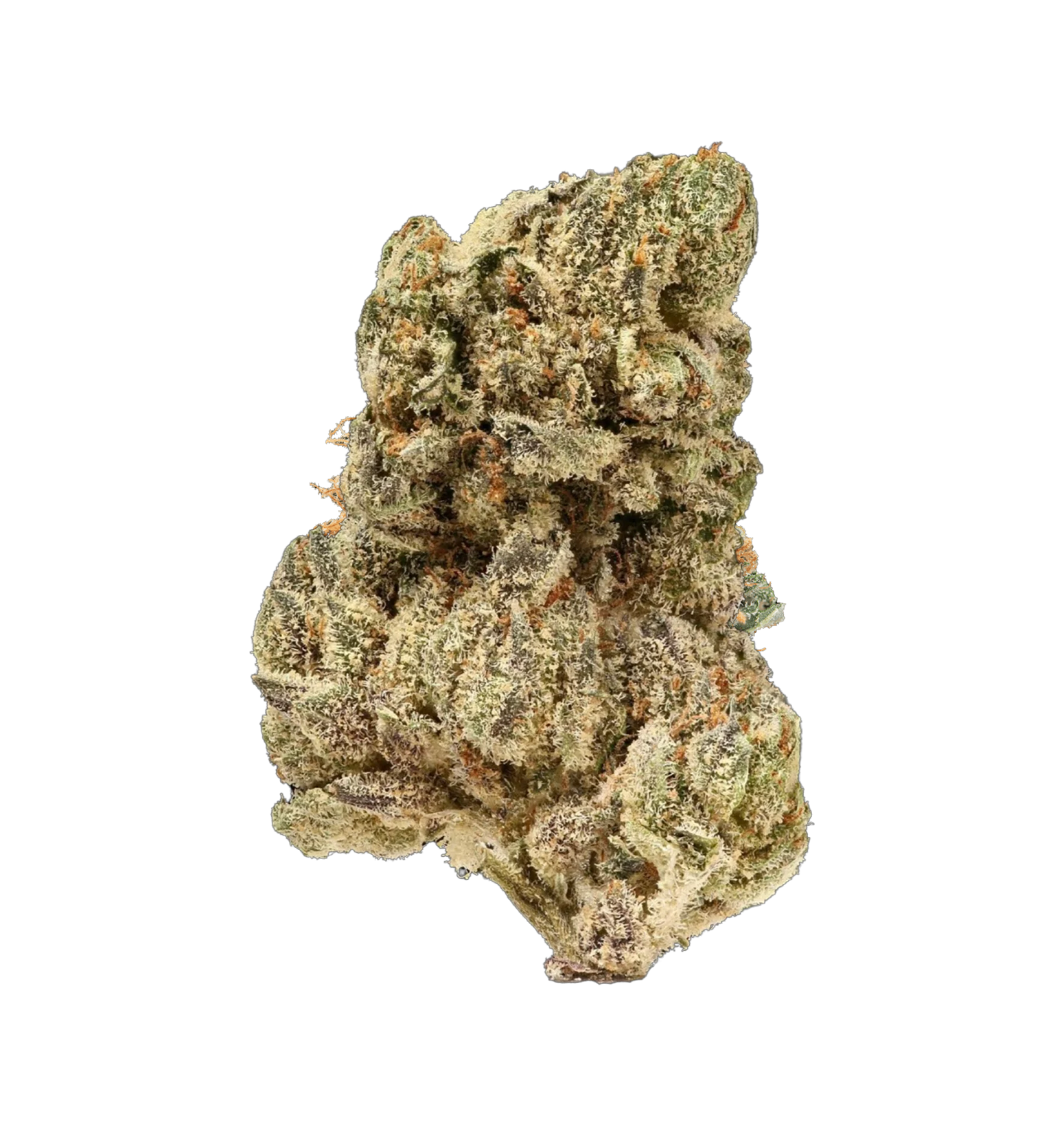 Arsen'Haze - TH+ Flower