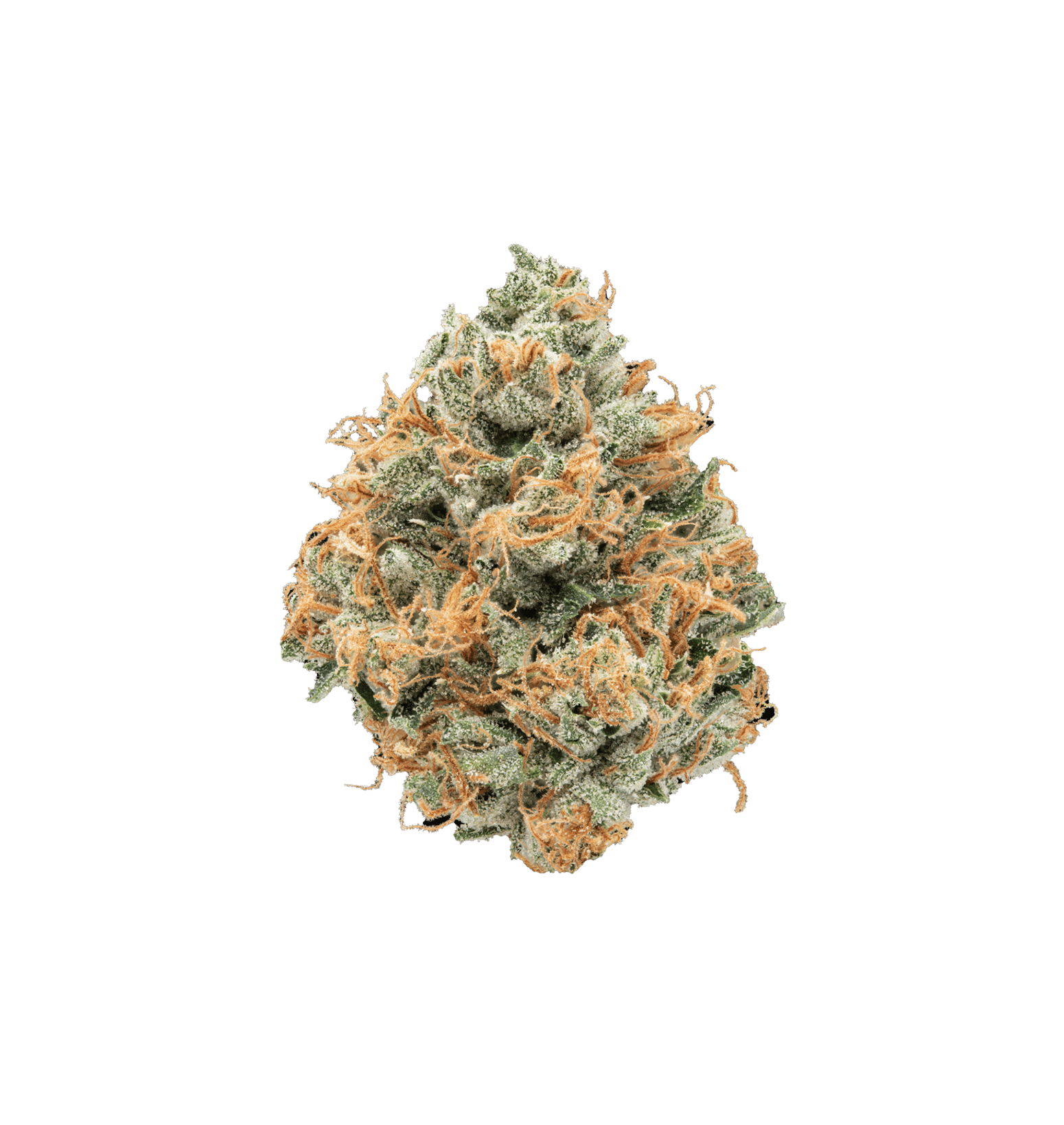 [x2] Dembouz Kush - TH+ Flower
