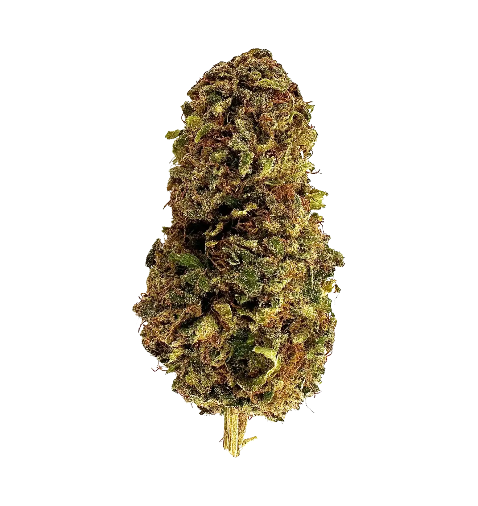 Dark Labubud - TH+ Flower