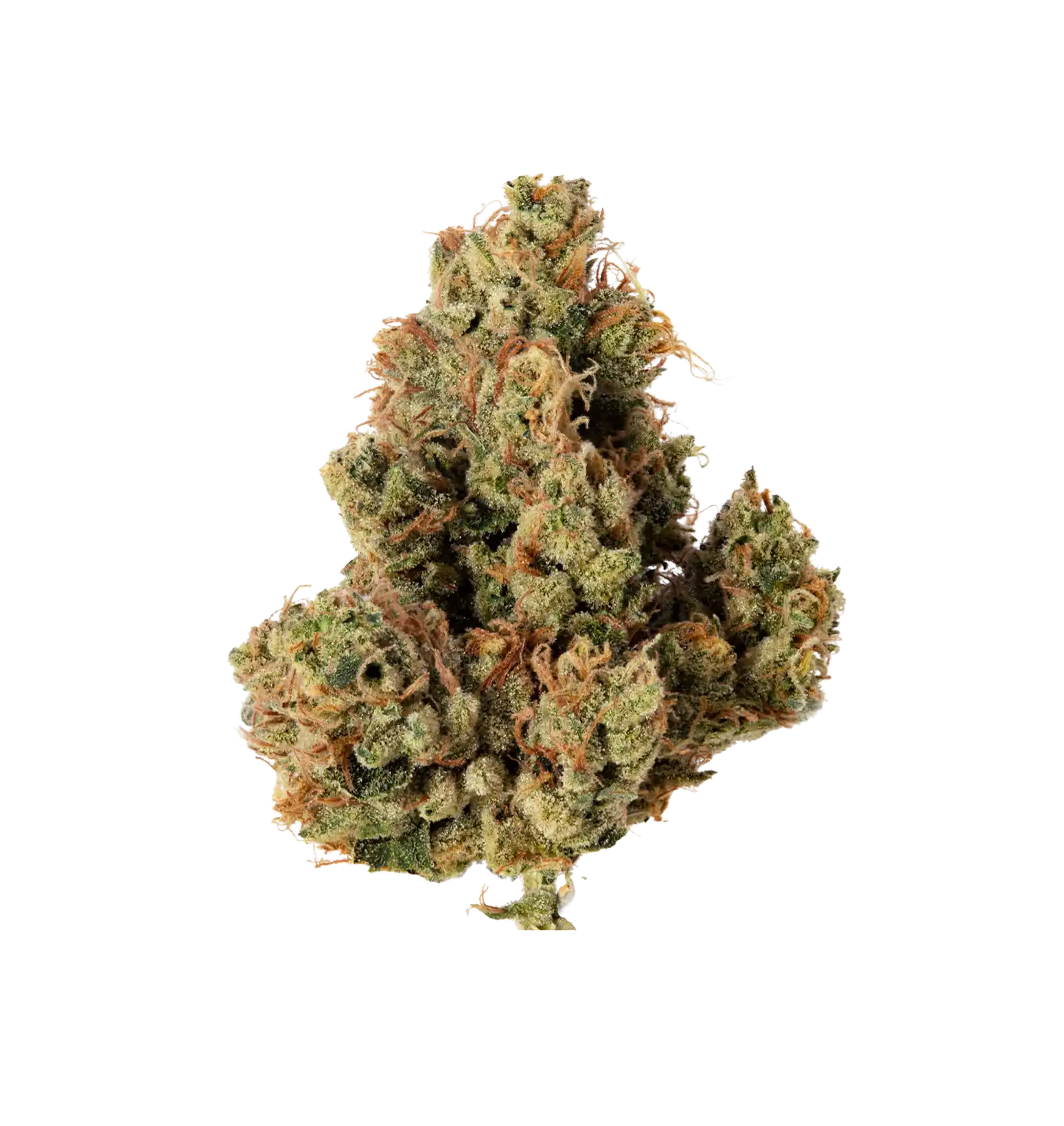 Dark LabuKush - TH+ Flower