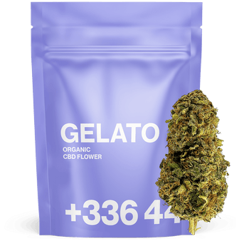 Gelato - Fleur CBD | Tealerlab