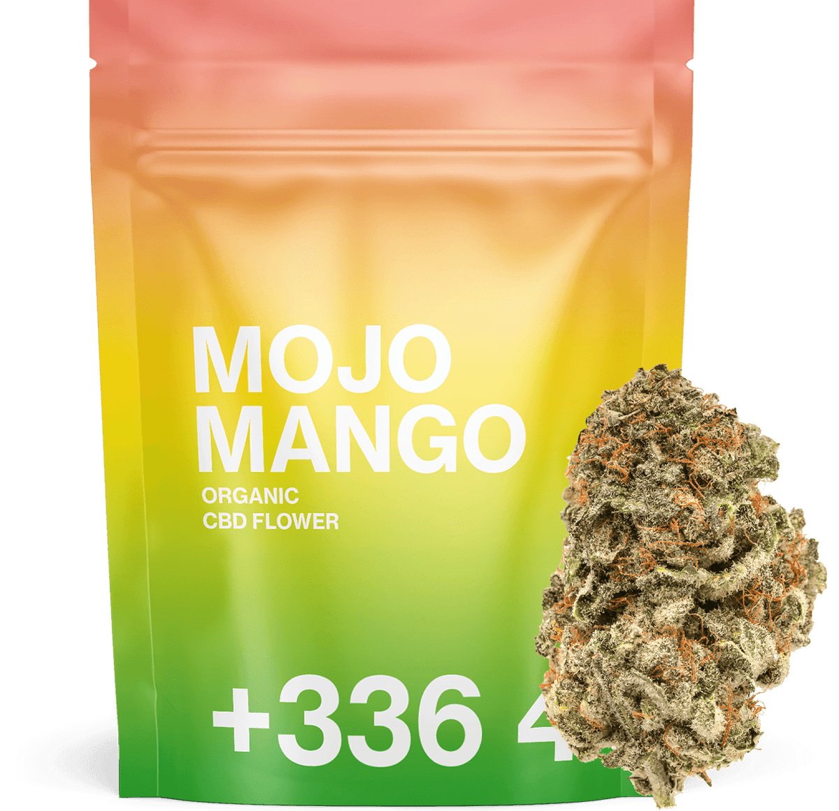 FREE MOJO MANGO 🥭