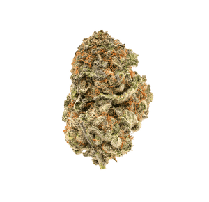 Mojo Mango - Fleur CBD | Tealerlab — alternate view