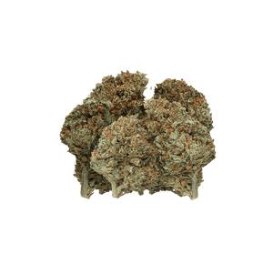 Pop Corn - Fleur CBD | Tealerlab — alternate view