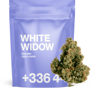 White Widow - Fleur CBD | Tealerlab