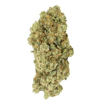 Demons Flower - TH+ Flower