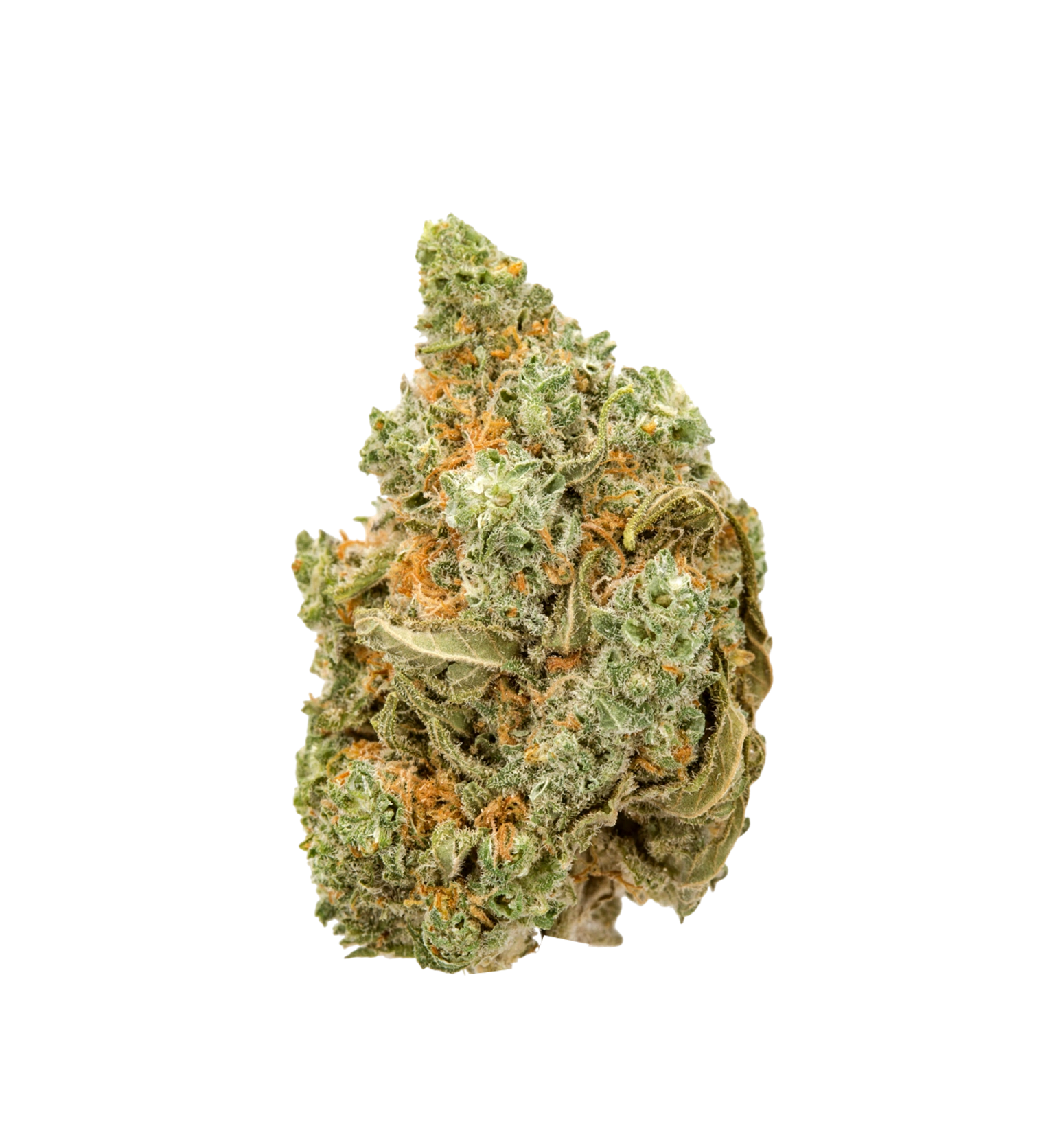 Cherry Gelato CBD 24%