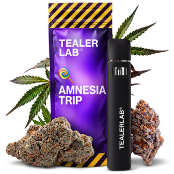 Magic Puff Amnesia Trip – boosted candy-sweet puff 2ml TealerLab