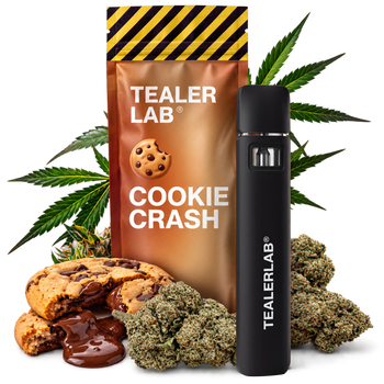 Magic Puff Cookie Crash – boosted cookie-flavour puff 1ml TealerLab