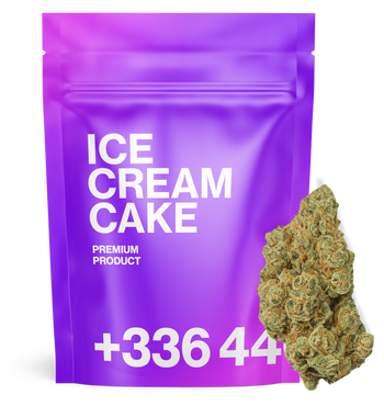 Ice Cream Cake - TH+ Flower
