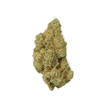 Ice Cream Cake - TH+ Flower