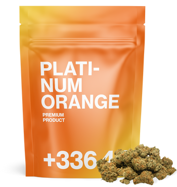 Platinum Orange - TH+ Flower