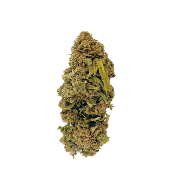 Wolv'Kush THX 27%