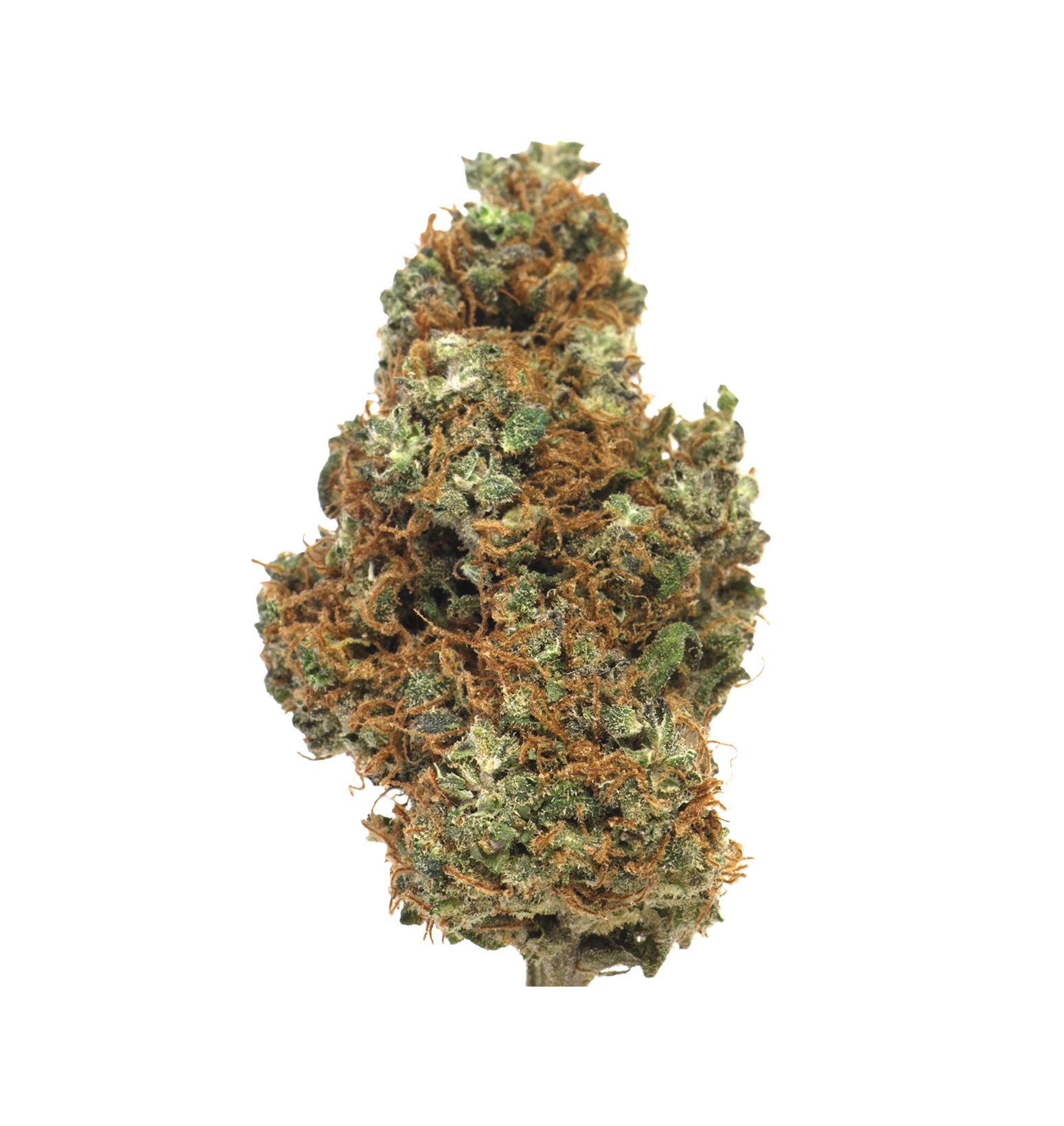 Gorilla Glue TH+ 28%