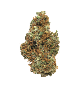 Gorilla Glue TH+ 28%