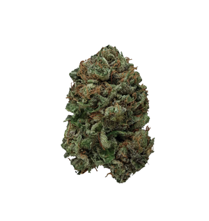 Super Skunk THX 26% — alternate view