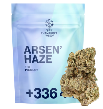 Arsen'Haze - TH+ Flower
