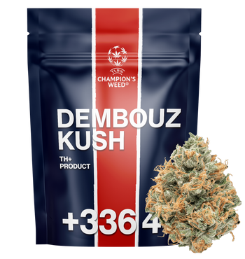 [x2] Dembouz Kush - TH+ Flower