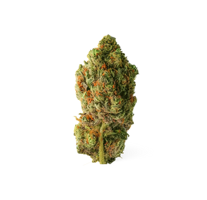 Buddha Fruit - CBD Flower 🧘 — alternate view