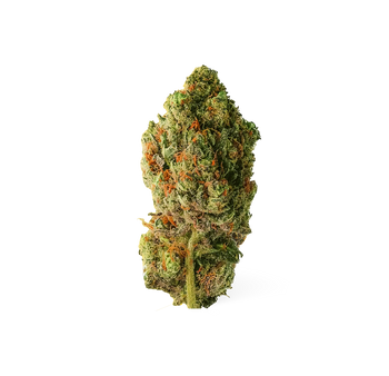 Buddha Fruit - CBD Flower 🧘