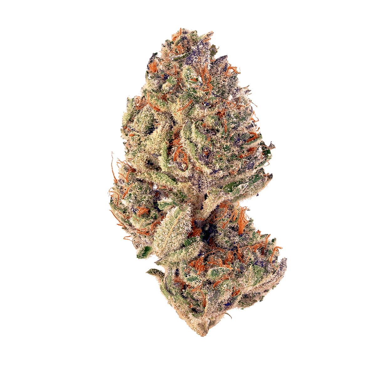 Cort'haze - THV-N10 Flower 💫