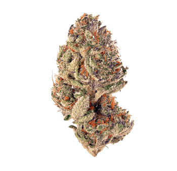 Cort'haze - THV-N10 Flower 💫